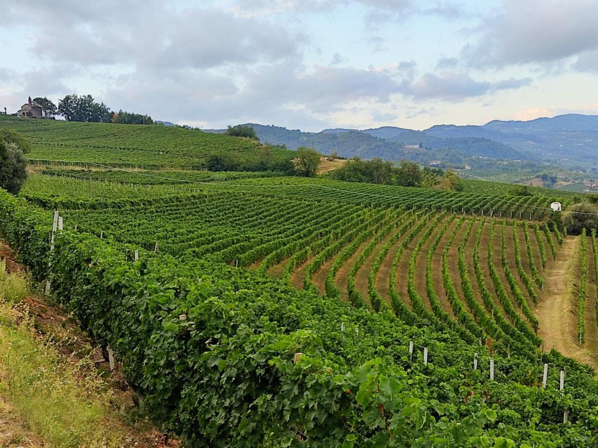 Loaz Relais Agriturismo Διαμέρισμα Loazzolo Εξωτερικό φωτογραφία